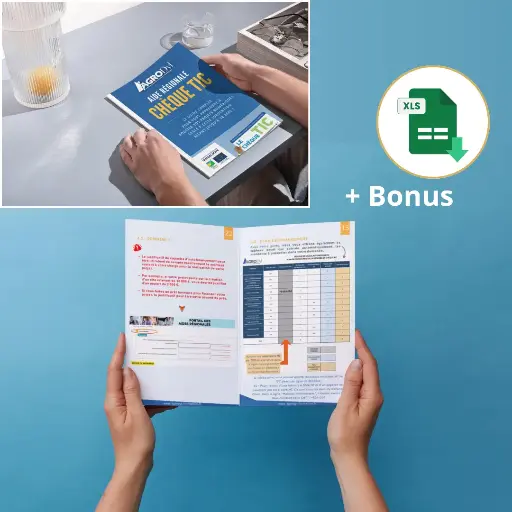 Guide Chèque TIC et Outils excel